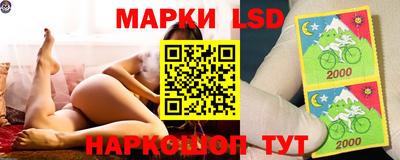 МДПВ Волгодонск