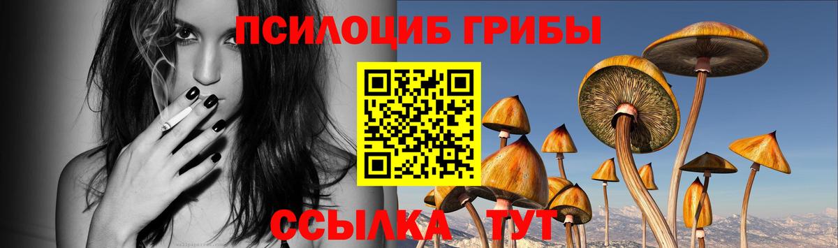 Верхний Уфалей  Псилоцибиновые грибы Cubensis  Вход с VPN  Псилоцибиновые грибы ЛСД 